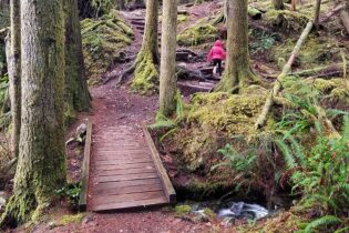 Hiking beauty in our BC Sunshine Coast rainforest