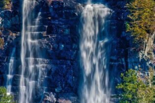 Photos provided by Metta Eco Photography
