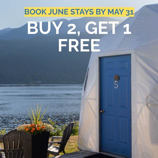 Buy 2 nights get 1 night FREE!